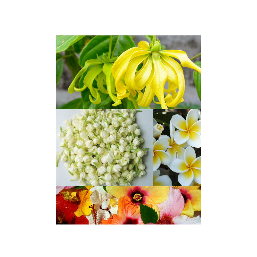 Fleurs de Mayotte